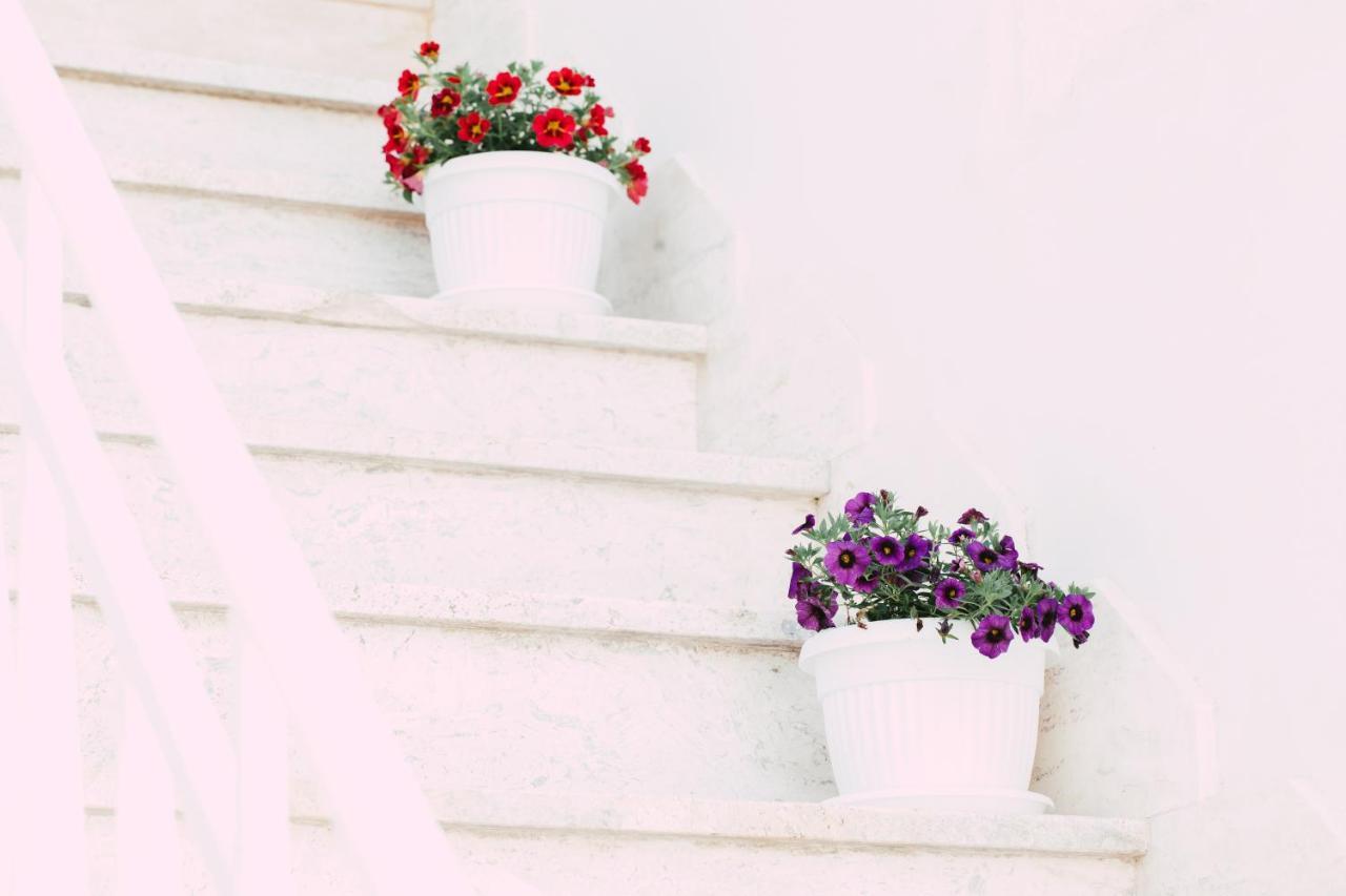 Dimora Del Puccini Villa Carovigno Ngoại thất bức ảnh